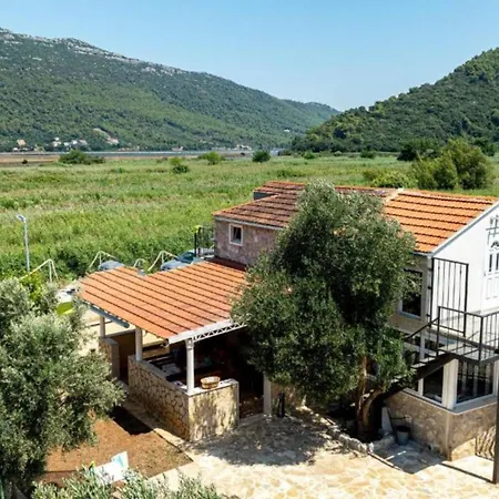 Дом отдыха Olive House *