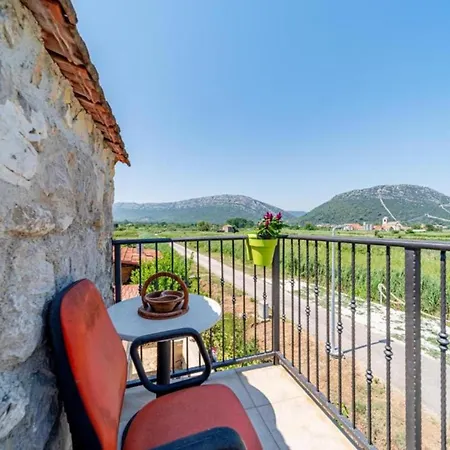 Olive House * Стон